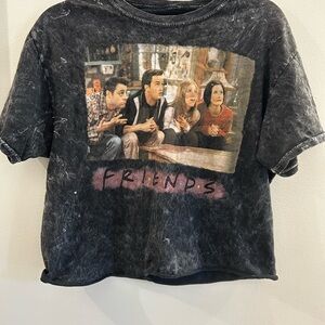 FRIENDS Cropped Gray Short Sleeve Shirt Couch Scene Women’s Size M TV